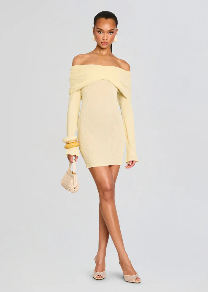 Xen Knit Mini Dress
